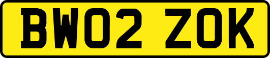BW02ZOK