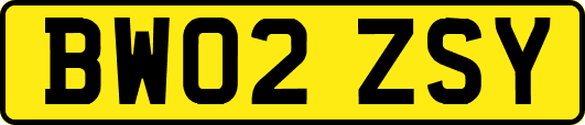 BW02ZSY