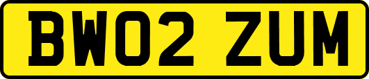 BW02ZUM