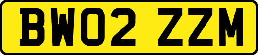 BW02ZZM