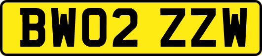 BW02ZZW