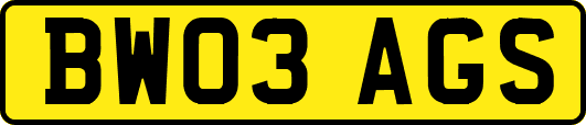 BW03AGS