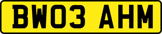 BW03AHM