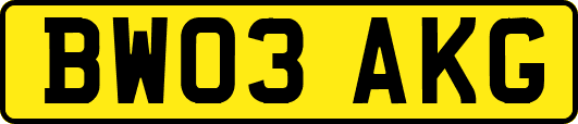 BW03AKG