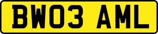 BW03AML