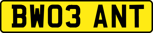 BW03ANT