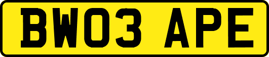 BW03APE