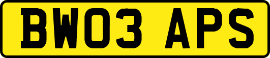 BW03APS