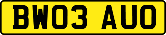 BW03AUO