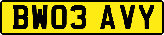 BW03AVY