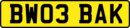 BW03BAK