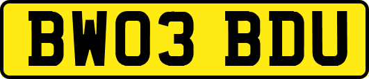 BW03BDU