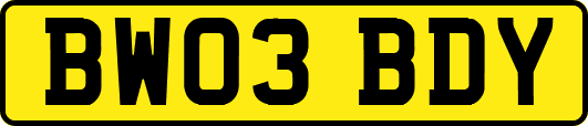 BW03BDY