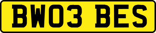 BW03BES