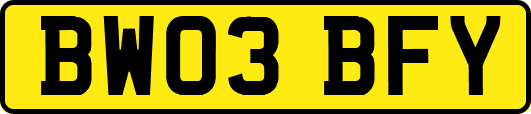 BW03BFY