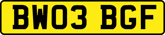 BW03BGF