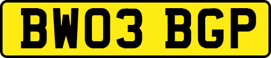 BW03BGP