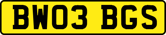 BW03BGS