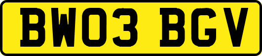BW03BGV