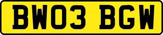 BW03BGW