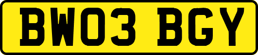 BW03BGY