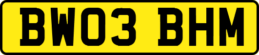 BW03BHM