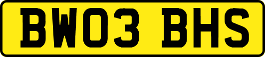 BW03BHS