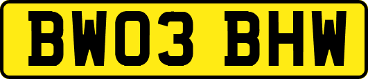 BW03BHW