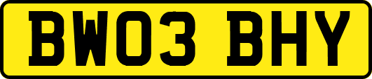 BW03BHY