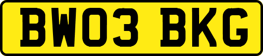 BW03BKG