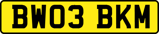 BW03BKM