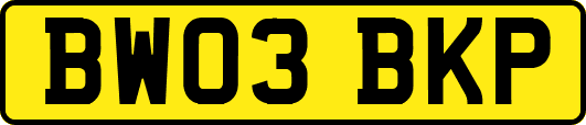 BW03BKP