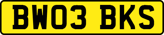 BW03BKS