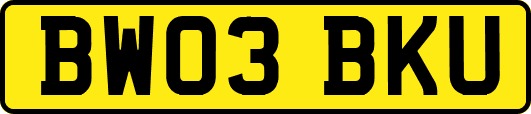 BW03BKU