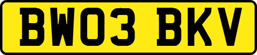 BW03BKV