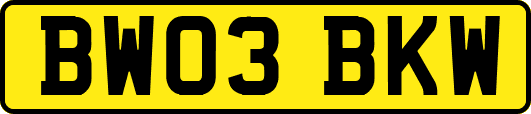 BW03BKW