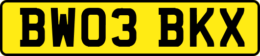 BW03BKX