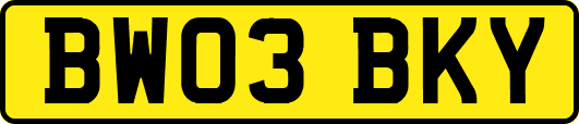 BW03BKY