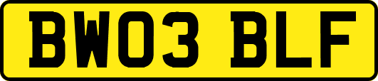 BW03BLF