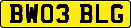 BW03BLG