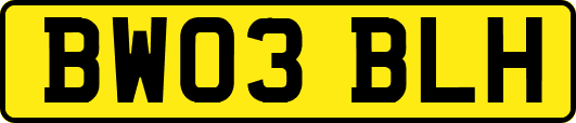 BW03BLH