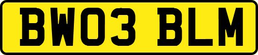 BW03BLM
