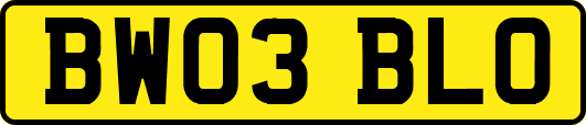BW03BLO