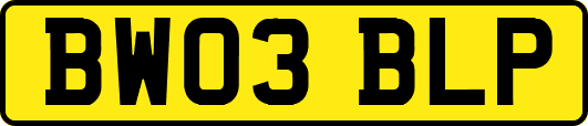 BW03BLP