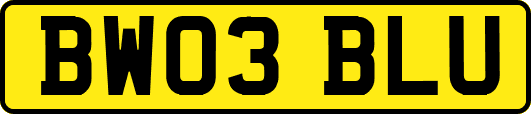 BW03BLU