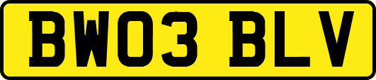 BW03BLV