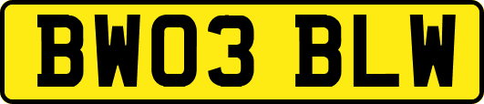 BW03BLW