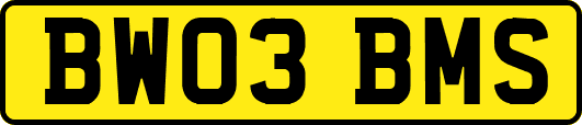 BW03BMS