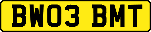 BW03BMT