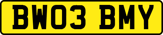 BW03BMY